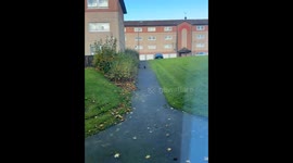 Now That's a Catwalk