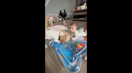 Pup Joins in on Tummy Time Fun