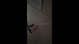 Helicopter Pilot Cat Falls From Fan