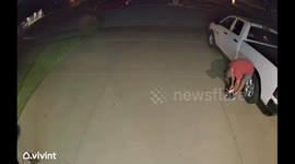 Opossum Startles Man in His Driveway