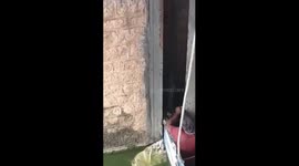 A massive python found under car's bonnet in Uttarpradesh, Northern India