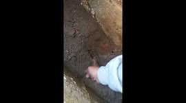 Female snake catcher with nerves of steel reaches into soil to extract baby cobra