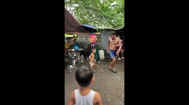 Toddler has amusing pinata fail when he sends stick hurtling towards friends