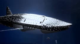 Chinese aquarium debuts controversial robot shark weighing 520kg