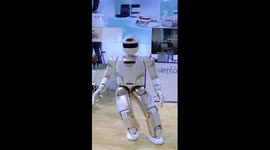 Chinese-made humanoid robot performs Tai Chi