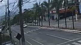 Brazil: Woman Driver Completely Pole Axes Palm Tree After Losing Control Of Car