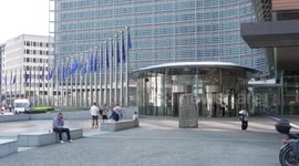 Germany: EU's protectionist tariffs on Chinese EVs threaten green transition