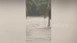 Villager clings onto coconut tree for 12 hours to survive Tropical Storm Trami