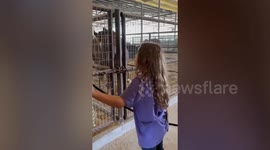 10-year-old barrel racing prodigy rides her way to $1MILLION