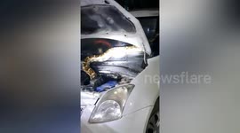 Huge python found slithering across car windscreen in India