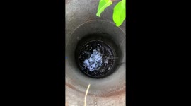 Drowning dog pulled from deep well using basket lowered by rope