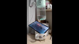 Student builds bizarre automatic gaming device