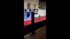 Dog's Red Carpet Debut Makes a Splash