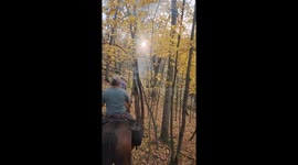 Tree Found Smoking in the Middle of the Woods