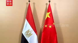 Russia: Xi to meet Egyptian president in Kazan