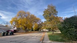 Autumnal Foliage Transformation