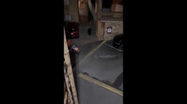 Daring encounter when family pushes stroller past bear in Gatlinburg Hotel Alley