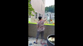 Fish tank built into balcony wall houses giant goldfish