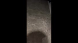 Sound on! Hamster runs on wheel... making an awesome EDM beat