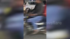 Bull rescued from tin can stuck in mouth in central India after intense effort