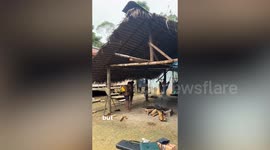 Brit backpacker lived with Amazonian tribe while travelling South America