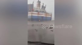 Cargo ship crew flee from grounded vessel during Tropical Storm Trami