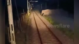 Train driver stops to let elephant herd cross the tracks