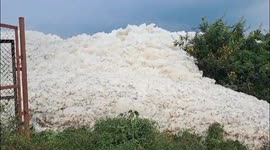 Wall of toxic foam engulfs roads after reservoir water discharged into south Indian river
