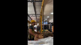 Cat owner reacts quickly after cat is grabbed in Manaus, Brazil