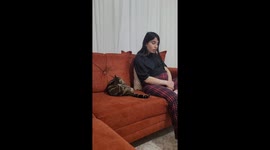 Cat's playful response captured in Ankara video