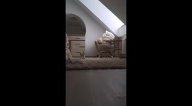 Kitten hilariosuly plays at home alone in Germany