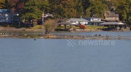 US: Hurricane Helene Wreaks Havoc, Massive Debris Fields Choke Claytor Lake