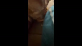 Roughhousing Puppies