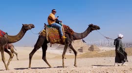 Art exhibition held in front of Egyptian pyramids