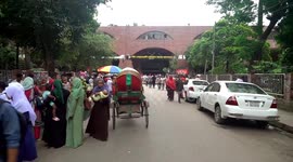 Bangladesh's dengue cases surpass 50,000, with 264 deaths reported