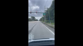 Pony runs loose on Haverhill Rd in Florida