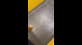 Elevator antics at A'Famosa Resort