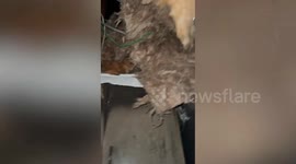 Devastated mum and kids 'left with just clothes on backs' after blaze guts flat