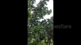 India: Cyclone Dana Brings Strong Winds To Bhadrak, India 1