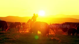 Chinese county fights against desertification with multiple measures