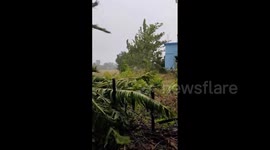 India: Cyclone Dana Brings Strong Winds And Heavy Rain To Odisha 3