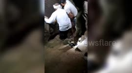 Crocodile sparks panic in northern India after entering tent shop, officials carry out successful rescue