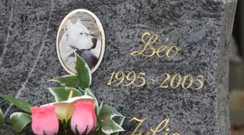 Animal and pet Cemetery. Paris suburb, Villepinte. 25 oct 2024