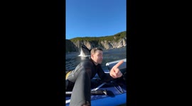 Paddleboarder Meets CGI Whale