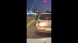 Dog Pokes Head Out Of Taillights