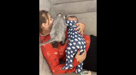 Cat Also Wants Grandmother Cuddles