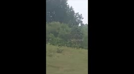 Wild leopard pounces on family having picnic in park in India