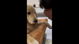 Dog reacts hilariously to owner's bad breath