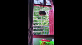 Rain seen through one window but not another a few yards away