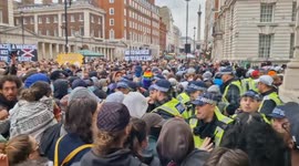Anti-racism protesters scuffle with police in Whitehall